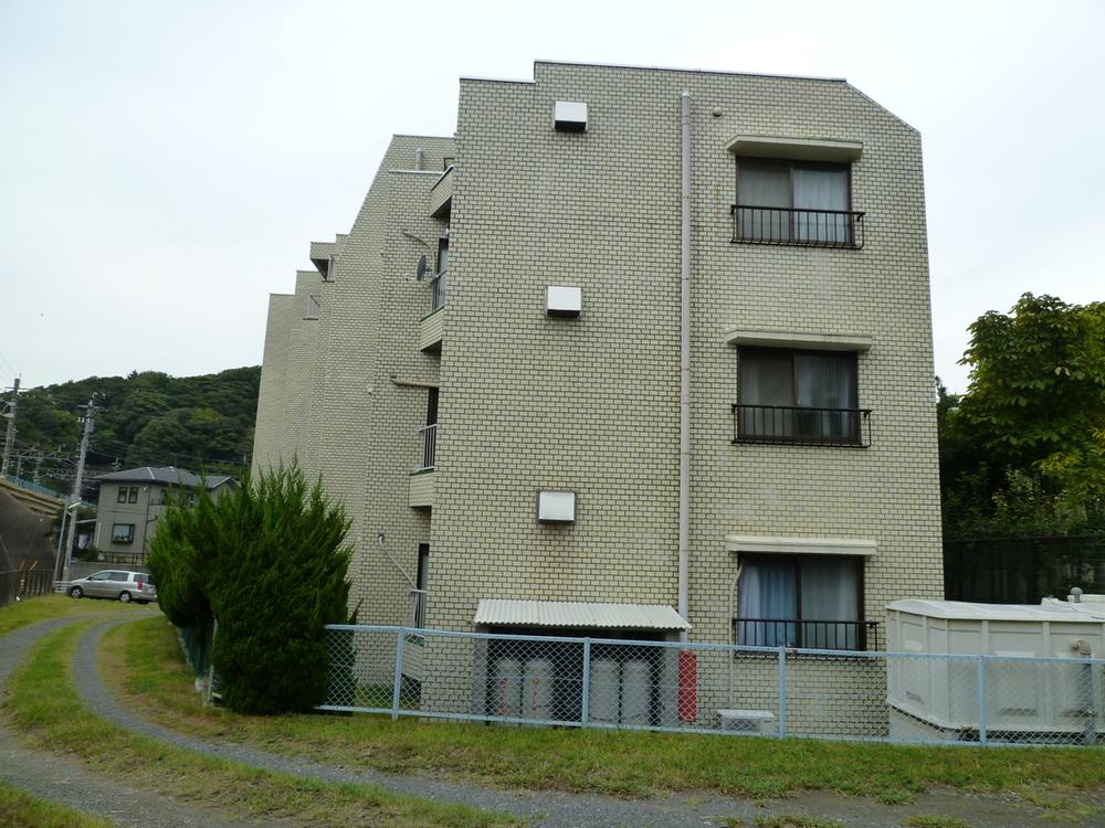 Local appearance photo. Local (10 May 2013) taken from the east side