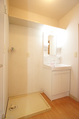 Washroom. Shampoo dresser specification! There indoor laundry Area!