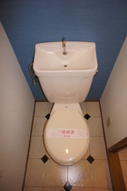 Toilet. Toilet