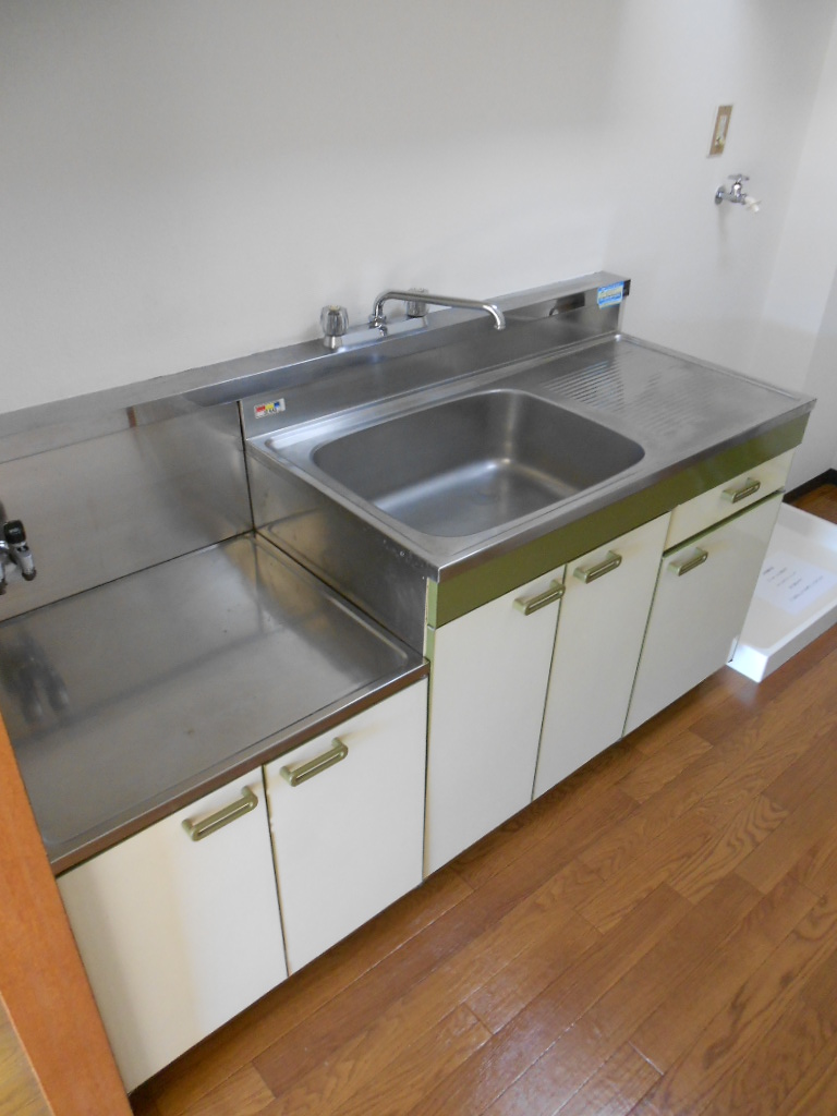Kitchen. Gas stove installation Allowed type of also satisfy lovers cuisine