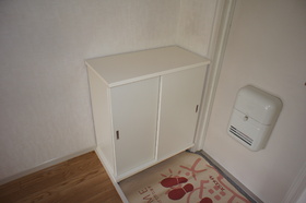 Entrance. Cupboard