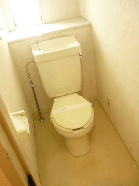 Toilet. Toilet