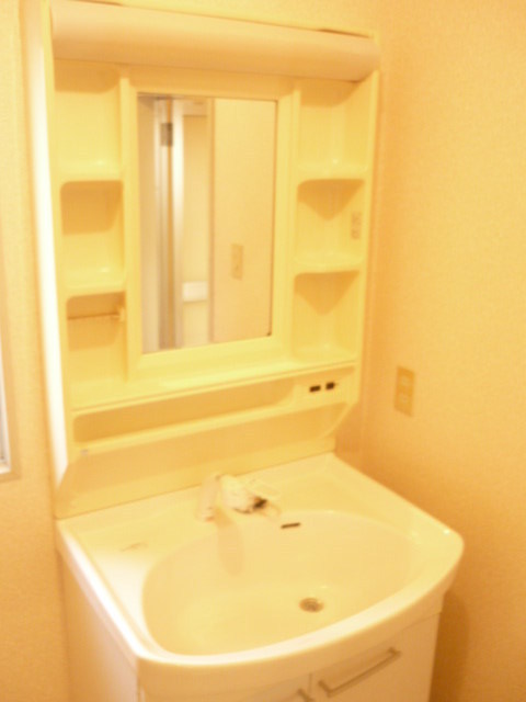 Washroom. Bathroom vanity