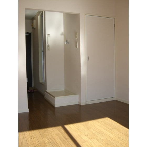 Living and room. Western-style (2)