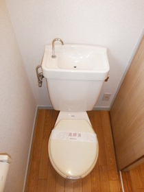 Toilet. Toilet