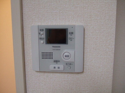 Security. Monitor with intercom