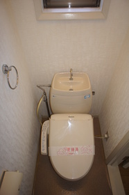 Toilet. Toilet