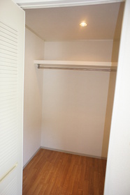 Other. Walk-in closet