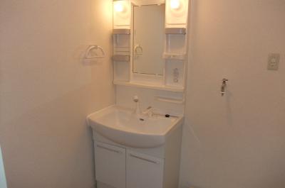 Washroom. Beautiful independent wash basin