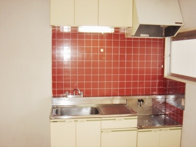 Kitchen. Two-burner gas stove can be installed