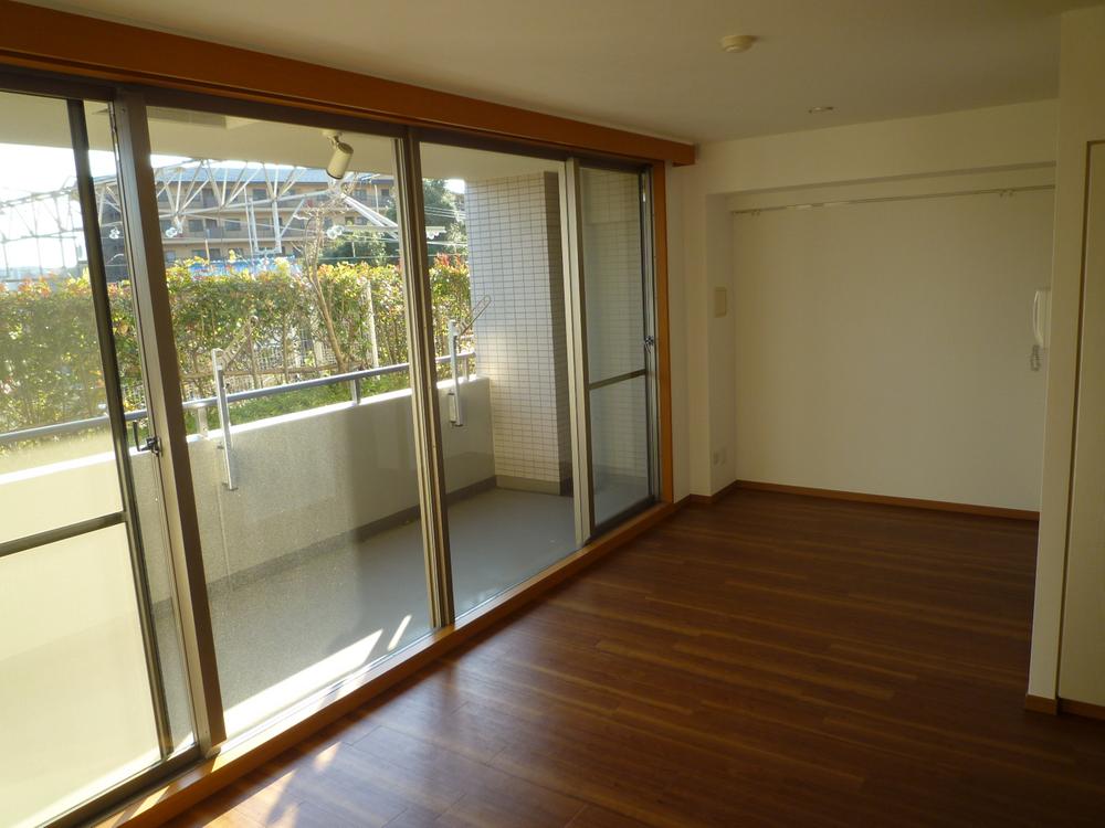 Living. It is sunlight plenty of living of large window.