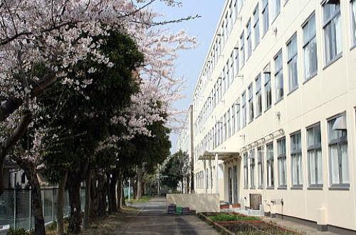 Junior high school. 1537m to Yokohama Municipal Kamigo junior high school