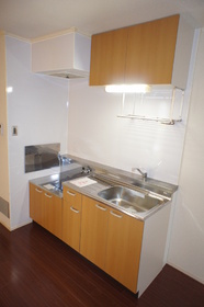 Kitchen. Two-burner gas stove can be installed