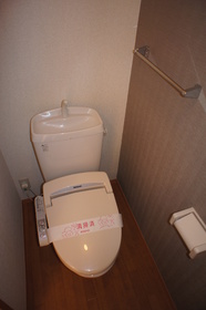 Toilet. Toilet