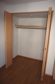 Other. North Western-style closet