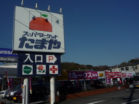 Supermarket. 640m to Super Tama and (super)