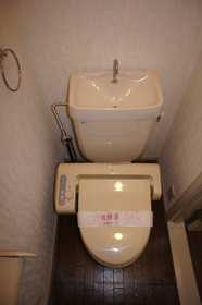 Toilet. Toilet