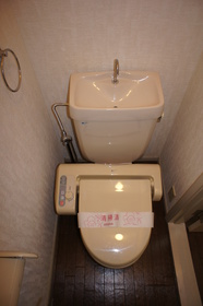 Toilet. Toilet