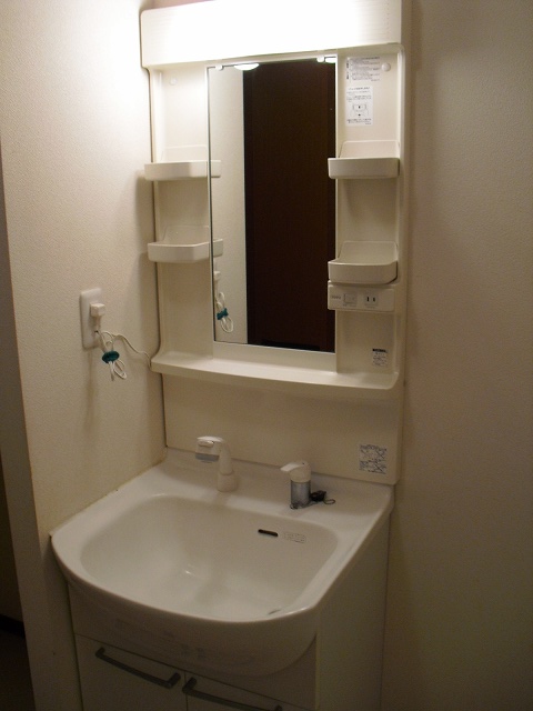 Washroom. Independent cosmetic wash basin with shower