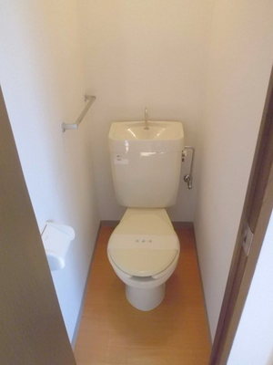 Toilet. Toilet with cleanliness