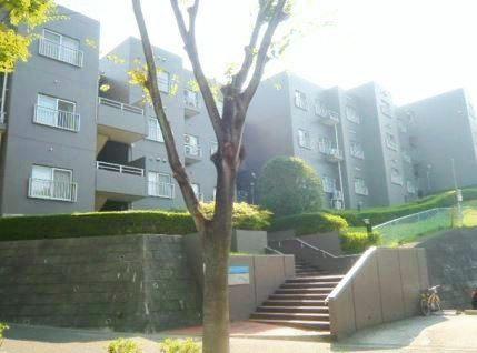 Local appearance photo. On the day of the preview Allowed