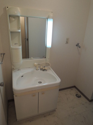 Washroom. Vanity & Laundry Area