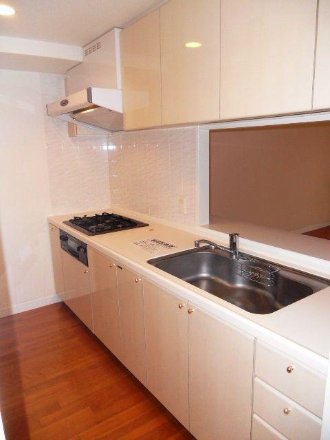 Kitchen. Stylish face-to-face kitchen, Housed in excellent popular system Kitchen