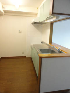 Kitchen. Face-to-face kitchen
