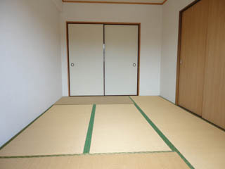 Other room space. Japanese style room