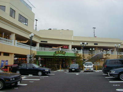Shopping centre. 200m to OK Store (shopping center)