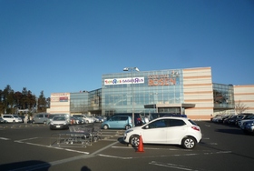 Supermarket. Sotetsu until Rosen (super) 550m