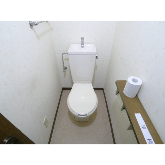 Toilet. Clean feeling overflowing toilet.