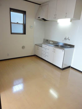 Kitchen. Two-burner gas stove can be installed