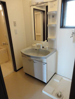 Washroom. Washbasin with shower