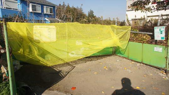 Other local. Local Photos