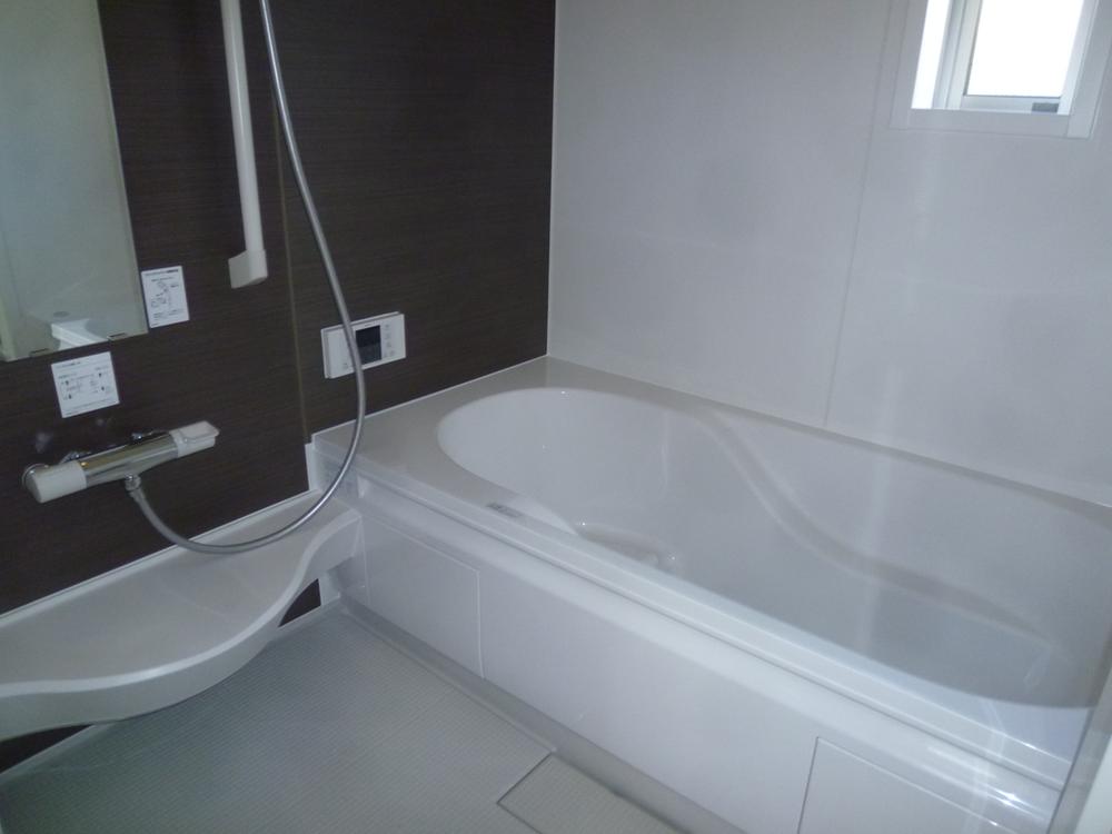 Bathroom. Indoor (December 20, 2013) Shooting