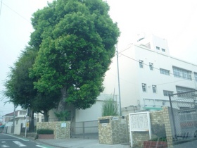 Primary school. Seya up to elementary school (elementary school) 650m