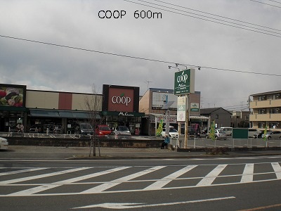 Supermarket. 600m until the COOP (super)