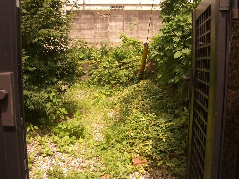 Garden. Good per sun
