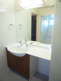 Washroom. Vanity of a large mirror