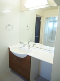 Washroom. Vanity of a large mirror