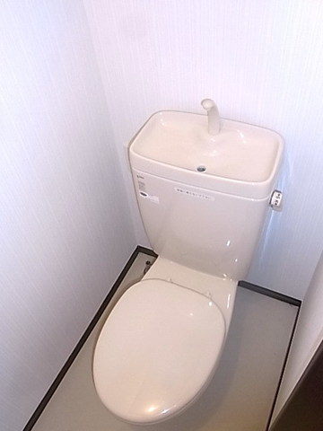 Toilet. Toilet