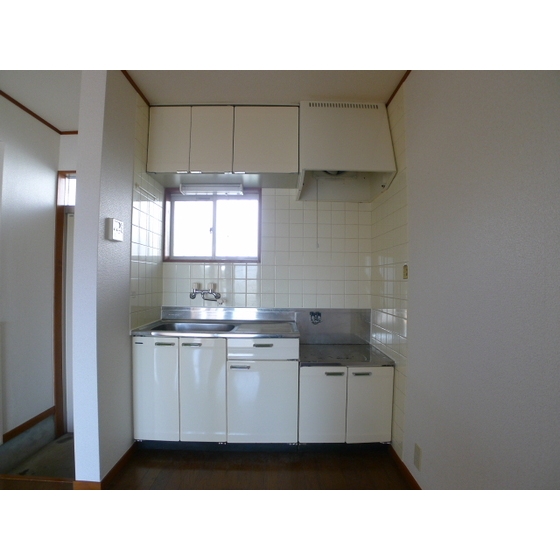 Kitchen. Bright have windows in the kitchen the whole surface.