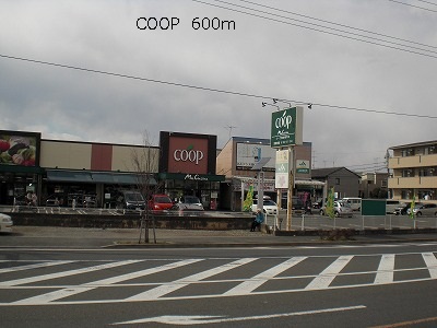 Supermarket. 600m until the COOP (super)