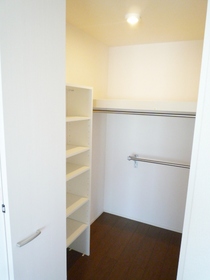 Other. There is a walk-in closet