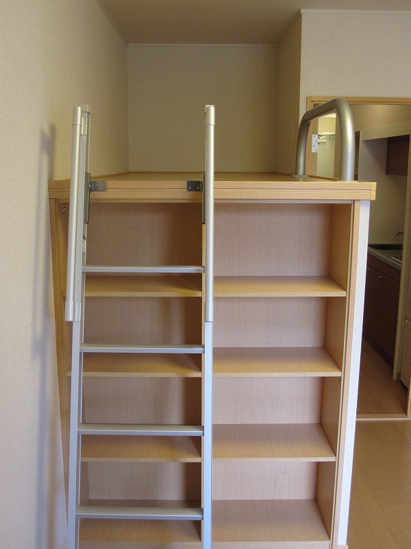 Other room space. Bed space and storage shelf