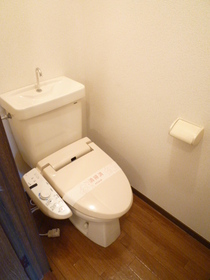 Toilet. toilet / Cleaning function with toilet seat