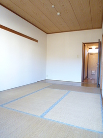 Living and room. Japanese style room