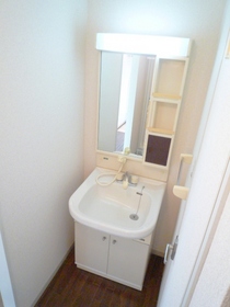 Washroom. Stand-alone Vanity of