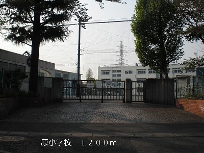 Primary school. 900m until the original elementary school (elementary school)